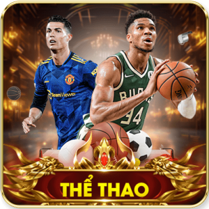 the thao 300X300